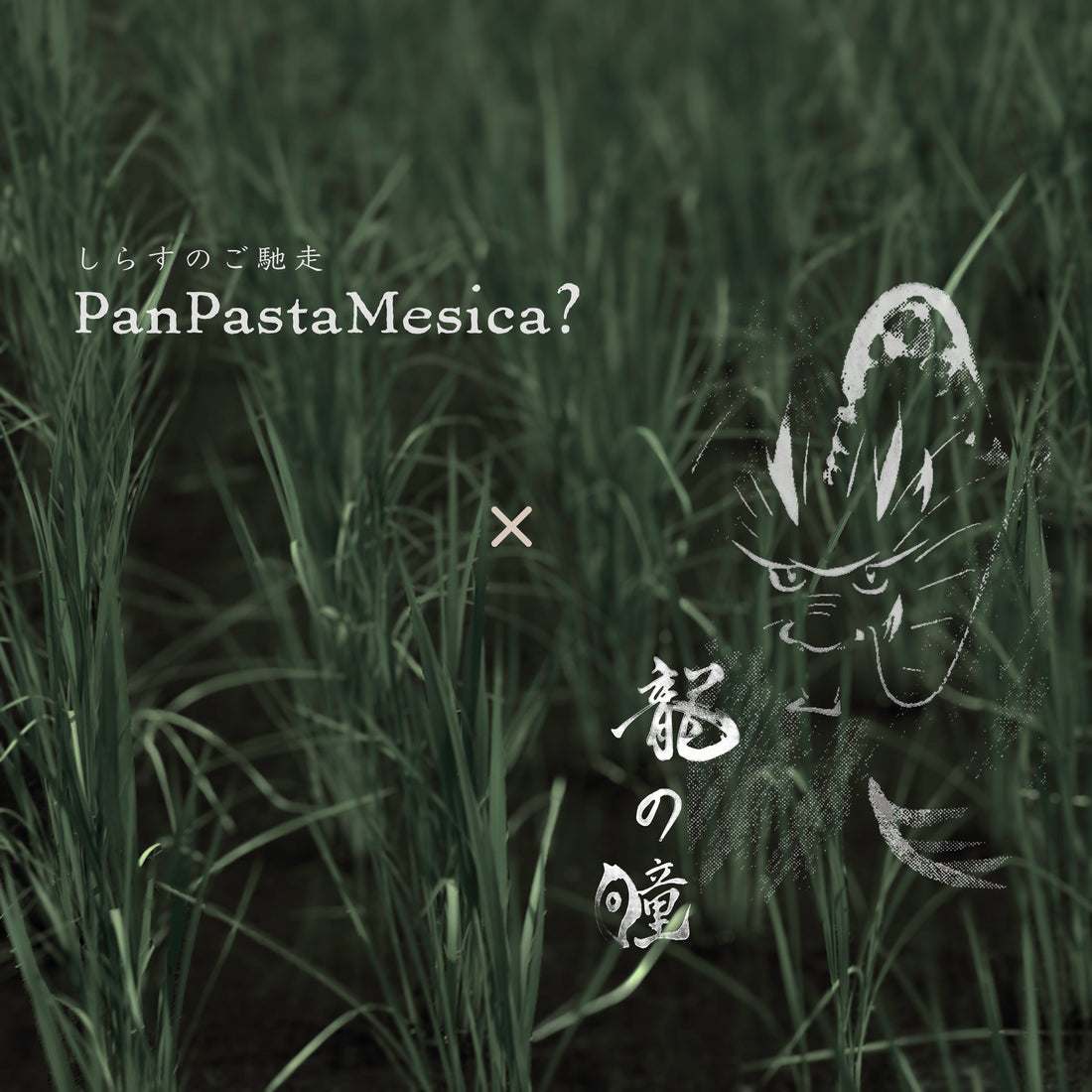 20251116｜新シリーズを発売させていただきます