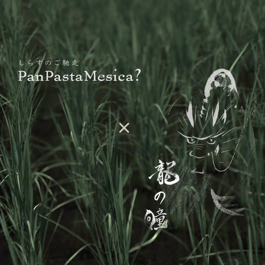 20251116｜新シリーズを発売させていただきます