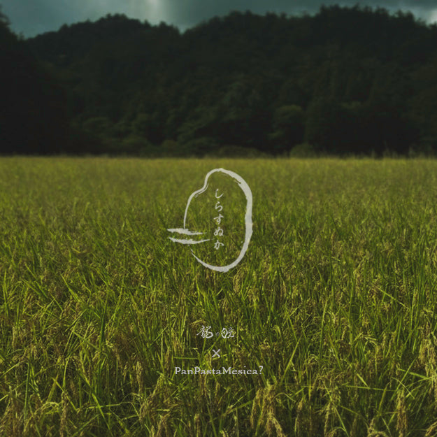 〖常温便〗しらすぬか３個セット