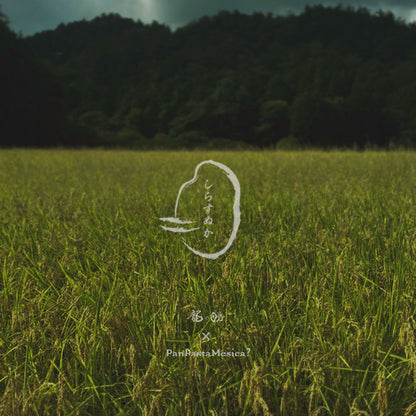 〖常温便〗しらすぬか３個セット