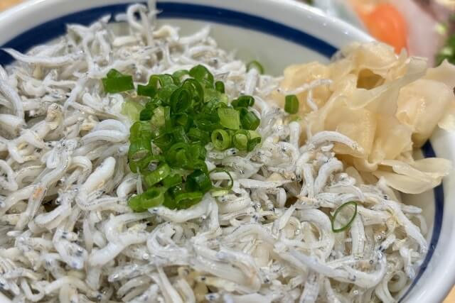 青ねぎとしらすのシンプルお茶漬け